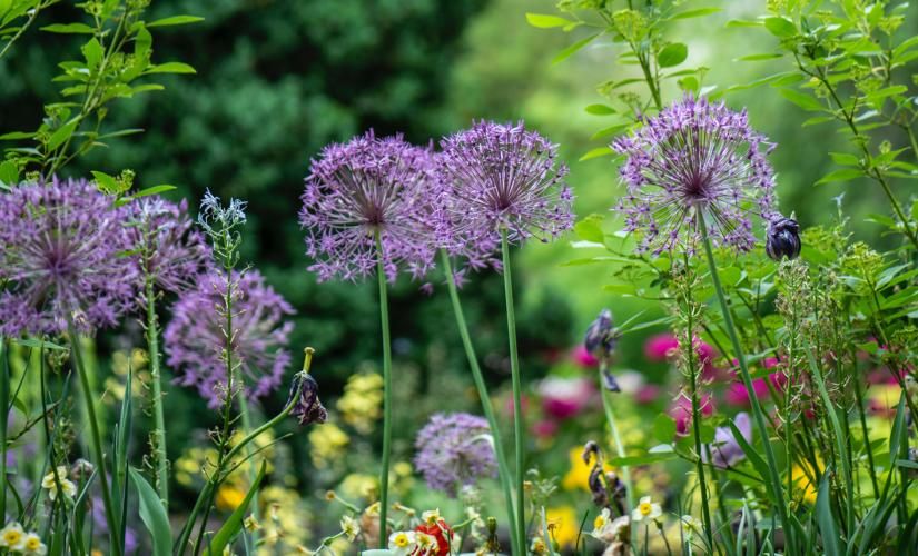 Hôtel Clermont Estaing***